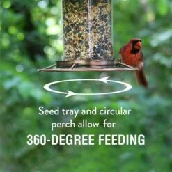 Perky-Pet® Copper Finish Panorama Feeder - 2 Lb Seed Capacity -birds Shop 312c fix