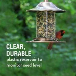 Perky-Pet® Copper Finish Panorama Feeder - 2 Lb Seed Capacity -birds Shop 312c info3 698