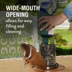 Perky-Pet® Copper Finish Panorama Feeder - 2 Lb Seed Capacity -birds Shop 312c info5 698