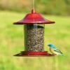 Perky-Pet® Red Sparkle Panorama Feeder