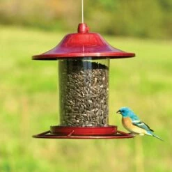 Perky-Pet® Red Sparkle Panorama Feeder