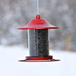 Perky-Pet® Red Sparkle Panorama Feeder -birds Shop 312r d 2