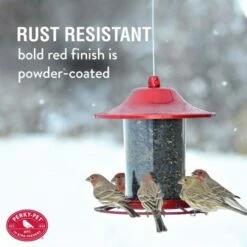 Perky-Pet® Red Sparkle Panorama Feeder -birds Shop 312r info1 698