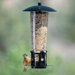 Perky-Pet® Squirrel-Be-Gone® Max Bird Feeder