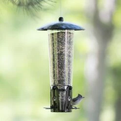 Perky-Pet® Squirrel-Be-Gone® Max Bird Feeder -birds Shop 333 11