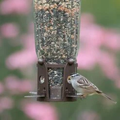 Perky-Pet® Squirrel-Be-Gone® Max Bird Feeder With Flexports® -birds Shop 334 a 9