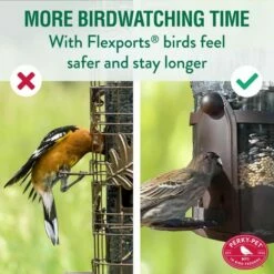 Perky-Pet® Squirrel-Be-Gone® Max Bird Feeder With Flexports® -birds Shop 334 info 3 698