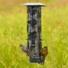 Perky-Pet® Squirrel-Be-Gone® Wild Bird Feeder