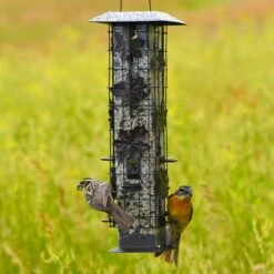 Perky-Pet® Squirrel-Be-Gone® Wild Bird Feeder