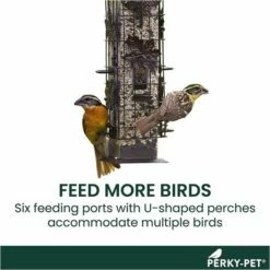 Perky-Pet® Squirrel-Be-Gone® Wild Bird Feeder -birds Shop 336 info2 698