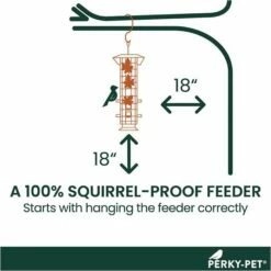 Perky-Pet® Squirrel-Be-Gone® Wild Bird Feeder -birds Shop 336 info5 698