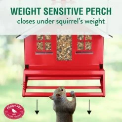 Perky-Pet® Squirrel-Be-Gone II Country House Wild Bird Feeder -birds Shop 338 info 4 698