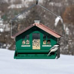 Perky-Pet® Squirrel-Be-Gone II Home Style Wild Bird Feeder 21 Perky-Pet® Squirrel-Be-Gone II Home Style Wild Bird Feeder -birds Shop 339 d 4