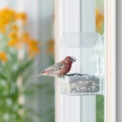 Perky-Pet® Window Bird Feeder - ½ Lb Seed Capacity -birds Shop 345 07