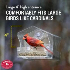Perky-Pet® Window Bird Feeder - ½ Lb Seed Capacity -birds Shop 345 info3 698