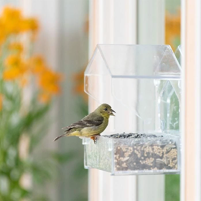 Perky-Pet® Dual-Seed Window Bird Feeder - 1 Lb Seed Capacity 17 Perky-Pet® Dual-Seed Window Bird Feeder - 1 Lb Seed Capacity - Image 17