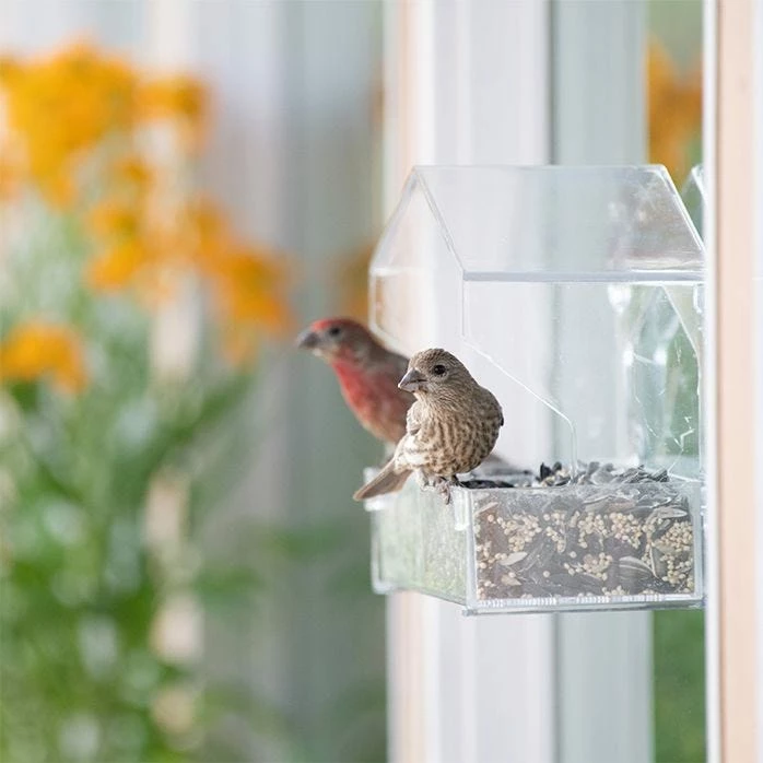 Perky-Pet® Dual-Seed Window Bird Feeder - 1 Lb Seed Capacity 18 Perky-Pet® Dual-Seed Window Bird Feeder - 1 Lb Seed Capacity - Image 18