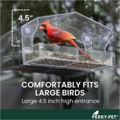 Perky-Pet® Dual-Seed Window Bird Feeder - 1 Lb Seed Capacity 25 Perky-Pet® Dual-Seed Window Bird Feeder - 1 Lb Seed Capacity -birds Shop 347 info3 698 1