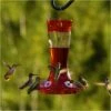More Birds® Bird Health Garnet Glass Hummingbird Feeder With Ant Moat - 20 Oz