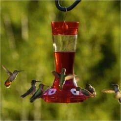 More Birds® Bird Health Garnet Glass Hummingbird Feeder With Ant Moat - 20 Oz