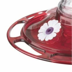 More Birds® Bird Health Garnet Glass Hummingbird Feeder With Ant Moat - 20 Oz -birds Shop 36 5 in use