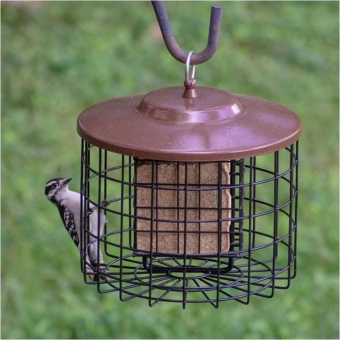 Squirrel-X Double Suet Caged Squirrel-Resistant Bird Feeder 1 Squirrel-X Double Suet Caged Squirrel-Resistant Bird Feeder