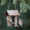 More Birds® Two Cake Suet Buffet Bird Feeder With Weather Guard