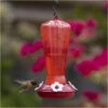 More Birds® Hollyhock Hummingbird Feeder With Bee Guard Nectar Ports - 25 Oz