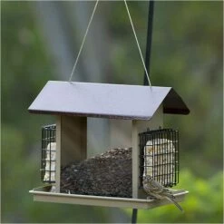 More Birds® Large Hopper Bird Feeder With Suet Holders - 8.4 Lb And 2 Suet Cakes