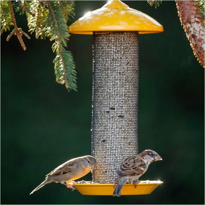 More Birds® 13 Inch Finch Screen Bird Feeder - 1.6 Lb 1 More Birds® 13 Inch Finch Screen Bird Feeder - 1.6 Lb