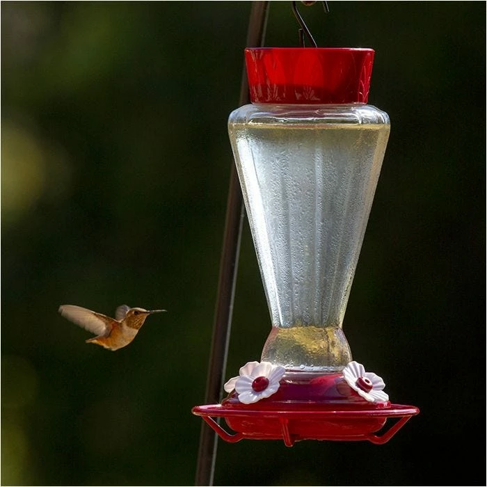 More Birds® Royal Glass Hummingbird Feeder With Ant Moat - 28 Oz 1 More Birds® Royal Glass Hummingbird Feeder With Ant Moat - 28 Oz
