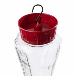 More Birds® Royal Glass Hummingbird Feeder With Ant Moat - 28 Oz 8 More Birds® Royal Glass Hummingbird Feeder With Ant Moat - 28 Oz -birds Shop 38135 4 in use