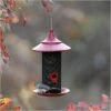 More Birds® Red Provincial Cardinal Screen Bird Feeder - 2.8 Lb