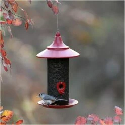 More Birds® Red Provincial Cardinal Screen Bird Feeder - 2.8 Lb