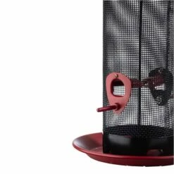 More Birds® Red Provincial Cardinal Screen Bird Feeder - 2.8 Lb -birds Shop 38577 4 in use