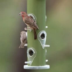 Perky-Pet® Green Metal Tube Wild Bird Feeder -birds Shop 391a 06