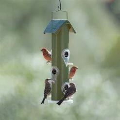 Perky-Pet® Green Metal Tube Wild Bird Feeder -birds Shop 391a 09