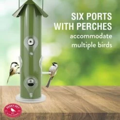 Perky-Pet® Green Metal Tube Wild Bird Feeder -birds Shop 391a info2 698