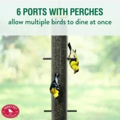 Perky-Pet® Upside Down® Thistle Feeder 12 Perky-Pet® Upside Down® Thistle Feeder -birds Shop 399 6 info3 698