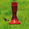 Perky-Pet® Red Pinch-Waist Plastic Hummingbird Feeder - 16 Oz Nectar Capacity
