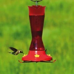 Perky-Pet® Red Pinch-Waist Plastic Hummingbird Feeder - 16 Oz Nectar Capacity