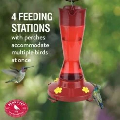 Perky-Pet® Red Pinch-Waist Plastic Hummingbird Feeder - 16 Oz Nectar Capacity -birds Shop 410p info1 698