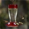 More Birds® Bird Health Big Gulp® Glass Hummingbird Feeder With Ant Moat - 40 Oz