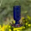 More Birds® Elixir Glass Hummingbird Feeder - 13 Oz - Blue