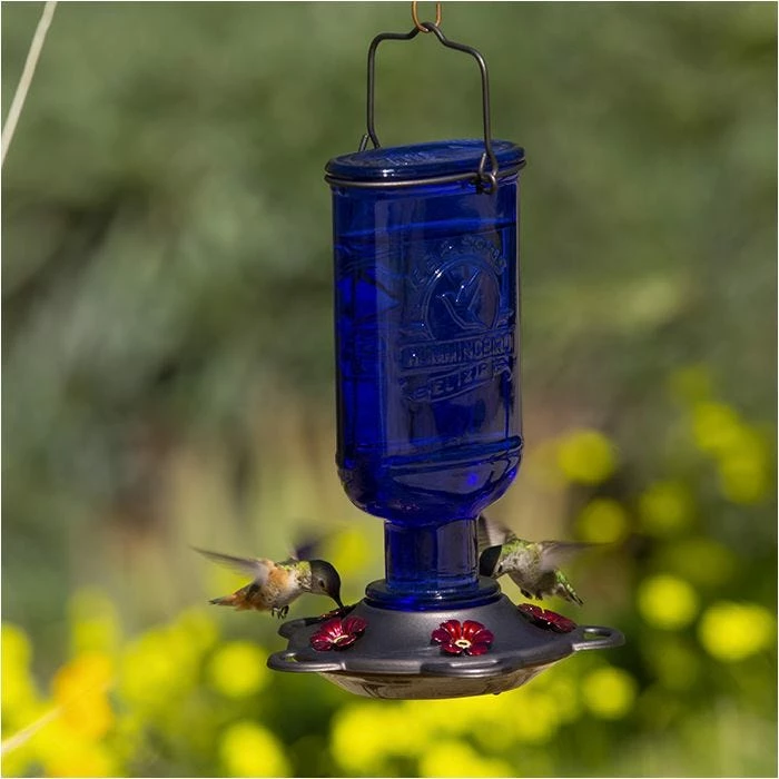 More Birds® Elixir Glass Hummingbird Feeder - 13 Oz - Blue 1 More Birds® Elixir Glass Hummingbird Feeder - 13 Oz - Blue