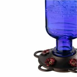 More Birds® Elixir Glass Hummingbird Feeder - 13 Oz - Blue 8 More Birds® Elixir Glass Hummingbird Feeder - 13 Oz - Blue -birds Shop 422 4 in use