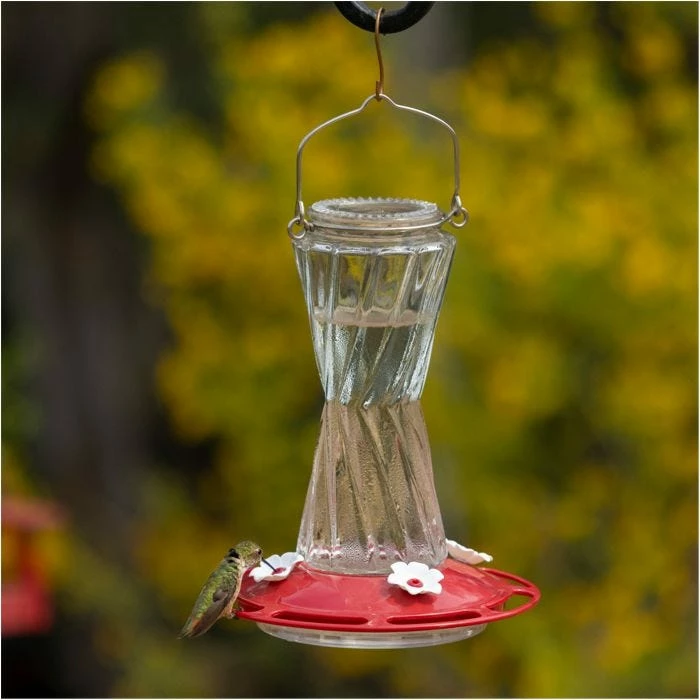 More Birds® Bohemian Glass Hummingbird Feeder With Bee Guard Nectar Ports - 20 Oz - Red 1 More Birds® Bohemian Glass Hummingbird Feeder With Bee Guard Nectar Ports - 20 Oz - Red
