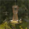 More Birds® Bohemian Glass Hummingbird Feeder With Bee Guard Nectar Ports - 20 Oz - Gold
