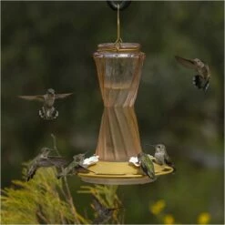 More Birds® Bohemian Glass Hummingbird Feeder With Bee Guard Nectar Ports - 20 Oz - Gold