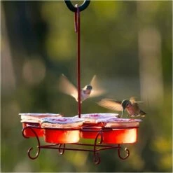 More Birds® Nectar Pods Wireform Hummingbird Feeder -birds Shop 436 07